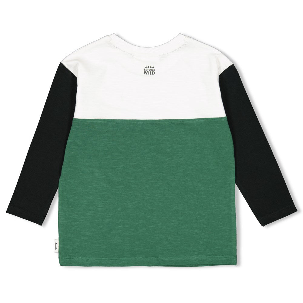Shirt - He Ho Dino