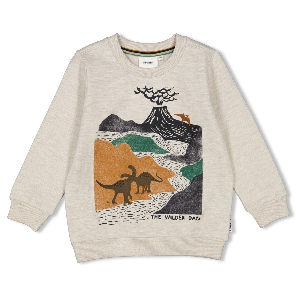 Sweater mit Dinoprint