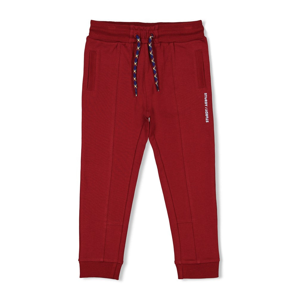 Diese rote Hose aus der Waves and Whales Kollektion von Sturdy überzeugt durch ihr markantes Design und hochwertige Verarbeitung.
