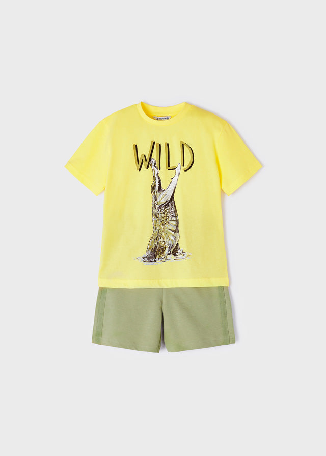 Set "wild"
