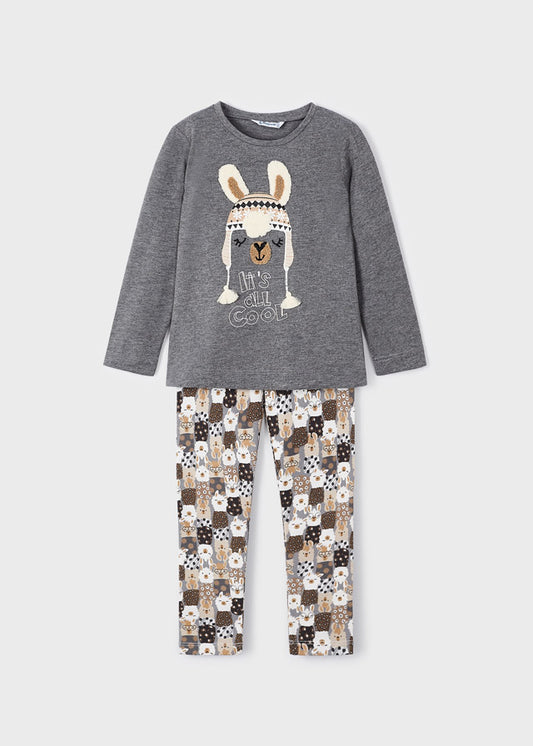 2er Set bestehend aus Leggings und T-Shirt