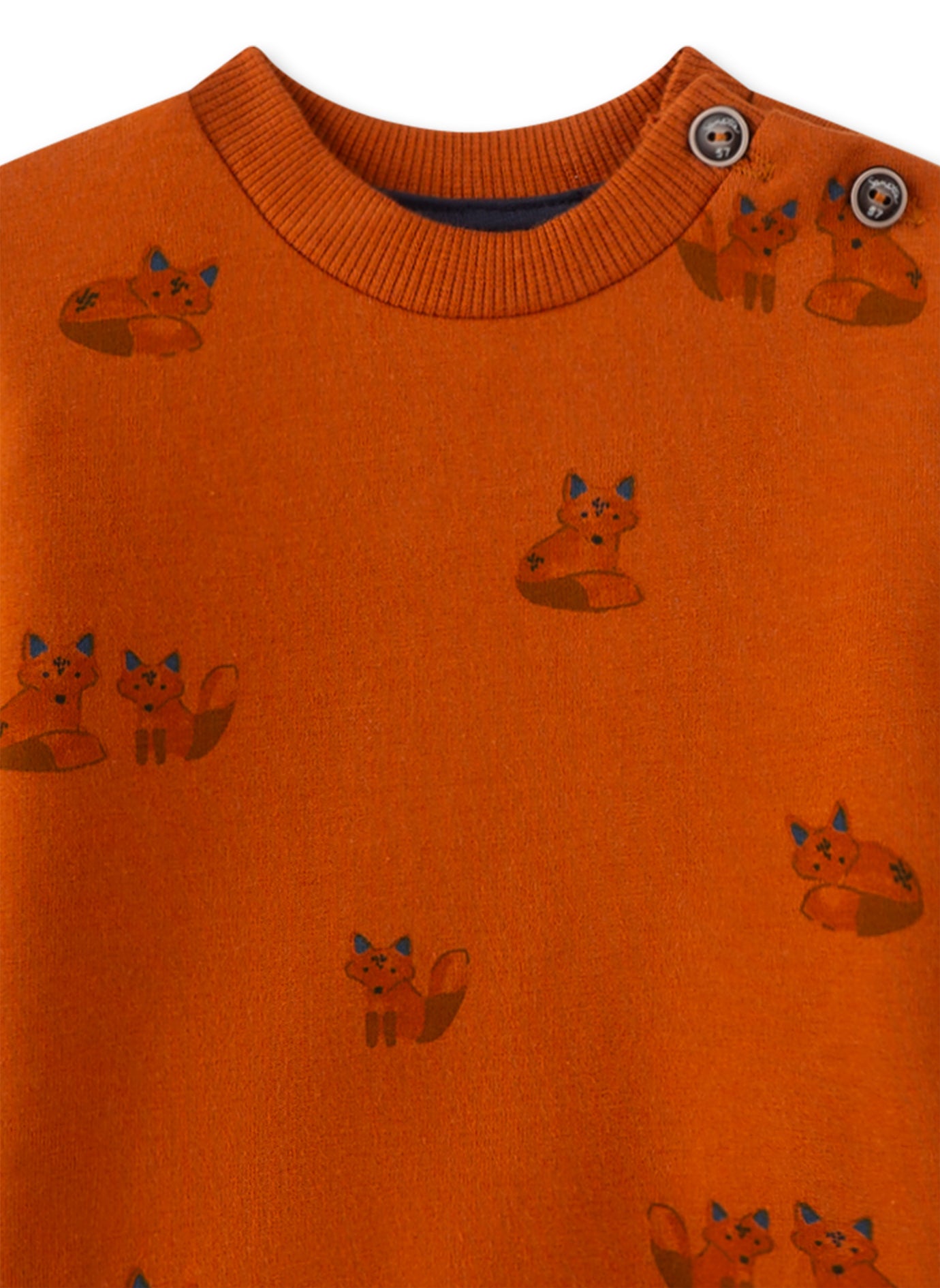 Feines Jungen-Sweatshirt mit Fuchs-Allover von Sanetta Fiftyseven.