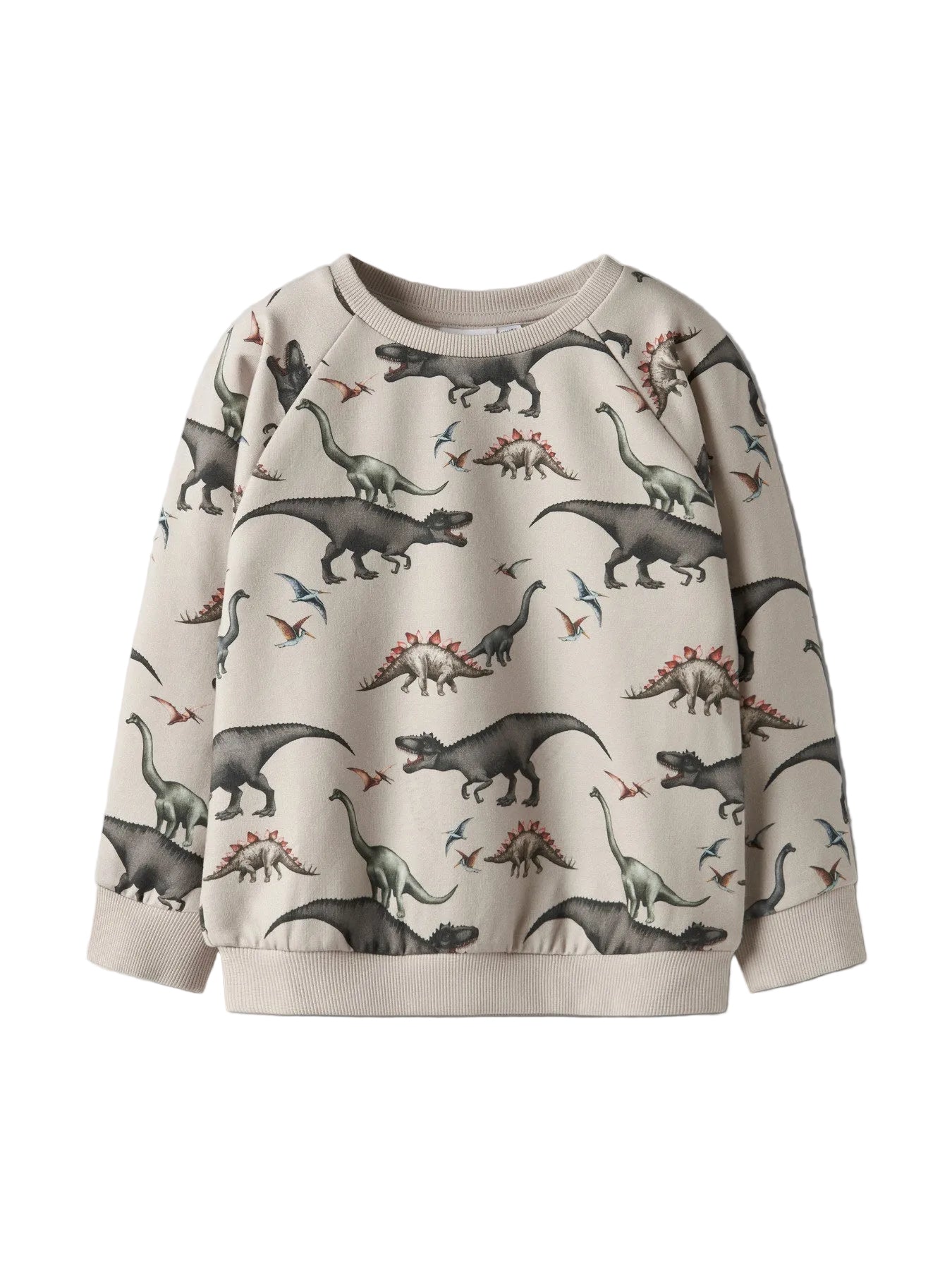Dieser Dino Sweater von name it ist das perfekte Abenteuer-Outfit für Jungs! Weich, gemütlich und mit coolem Dinosaurier-Design – ideal für kleine Dino-Fans, die Stil und Spielspaß lieben.
