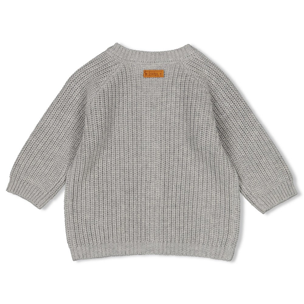 <p>Strickjacke aus der Kollektion "Welcome Wild One" von Feetje</p> <p>&nbsp;</p>