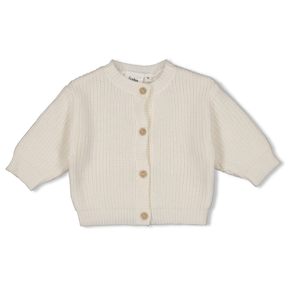 Die Oversized-Strickjacke "Sea Sweeties" von Feetje verbindet lässigen Stil mit gemütlichem Tragekomfort. Das großzügige Schnittmuster ermöglicht maximale Bewegungsfreiheit und schafft einen modernen, entspannten Look. Hochwertige Strickqualität sorgt für Langlebigkeit und angenehmes Tragegefühl bei jeder Gelegenheit.