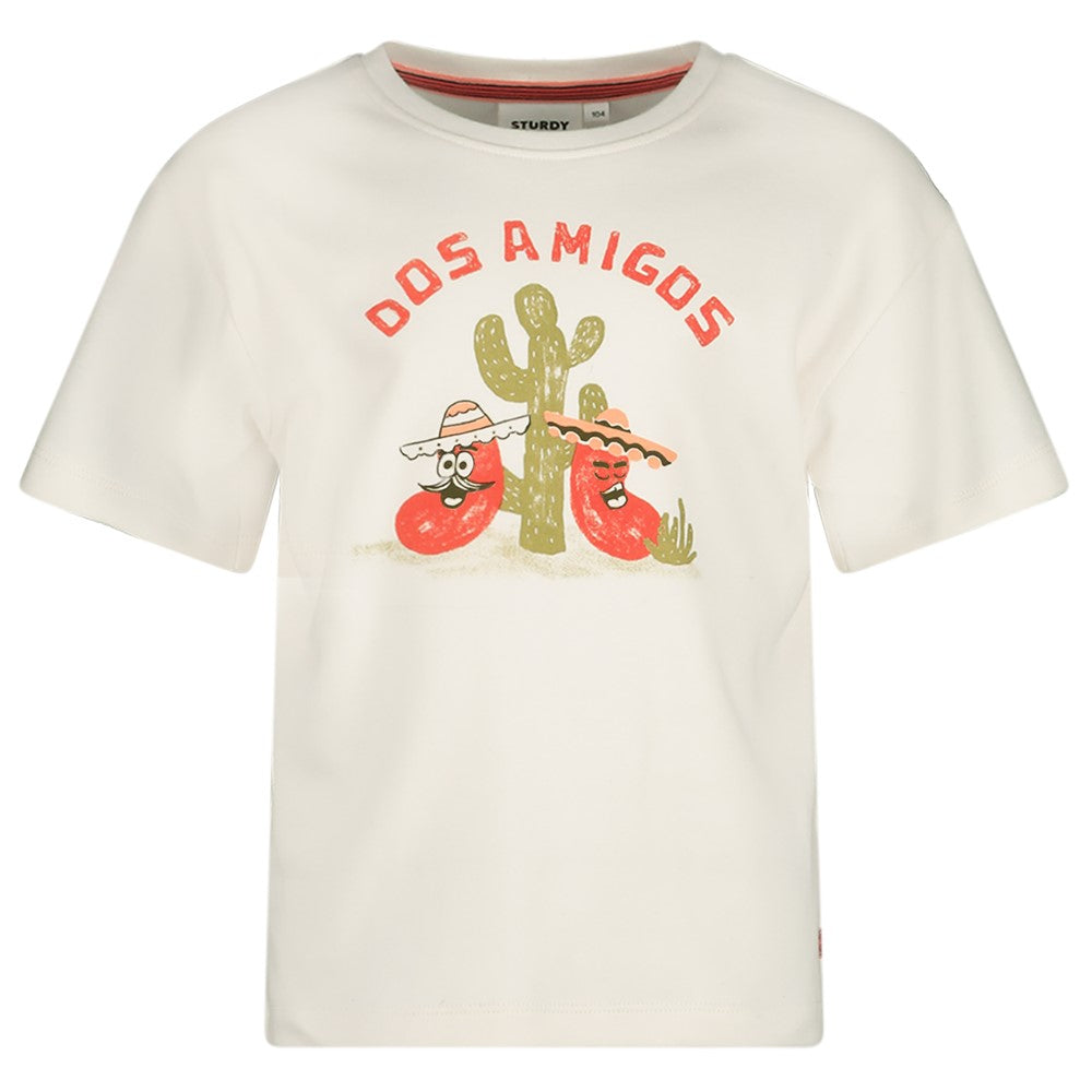 Oversized T-Shirt aus der "Desert Fiesta" Kollektion von Sturdy.