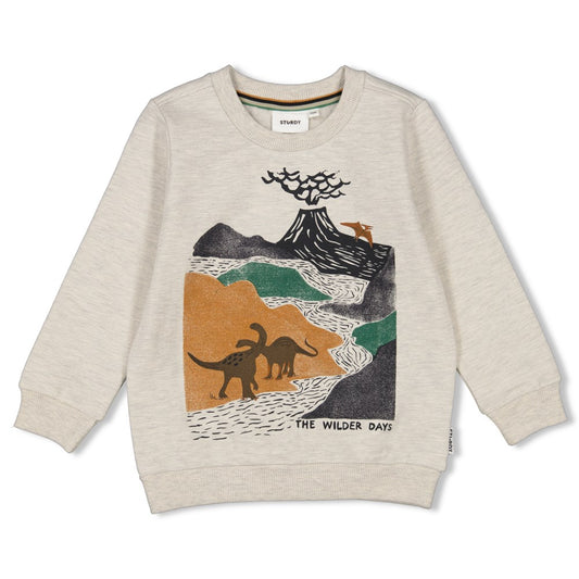 Sweater mit Dinoprint