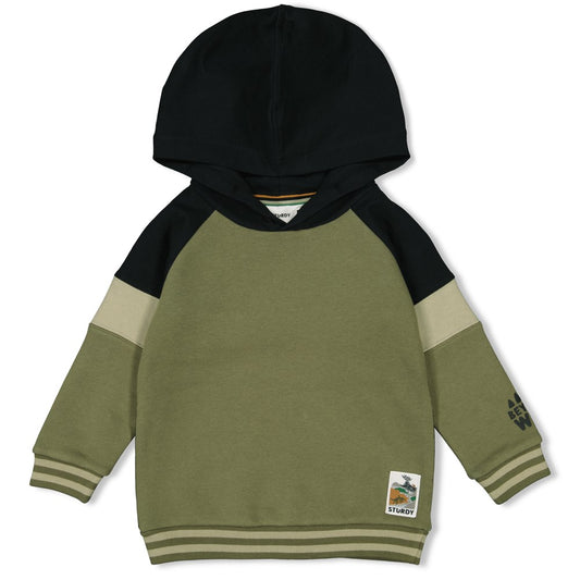 Hoody mit Kapuze