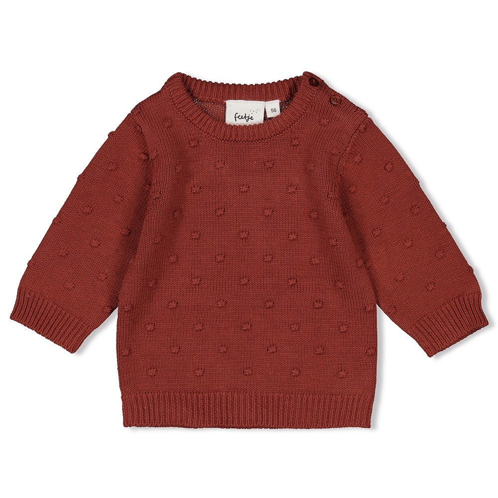 Holen Sie sich jetzt den neuen Sweater "Grow Your Own Way" von Feetje! Der gestrickte Pullover aus der gleichnamigen Kollektion bietet nicht nur warmen Komfort, sondern auch einzigartiges Design. Zeigen Sie Ihren individuellen Stil mit diesem besonderen Stück. Perfekt zum Anziehen und Wohlfühlen.