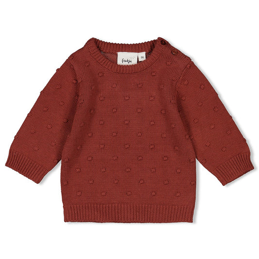 Holen Sie sich jetzt den neuen Sweater "Grow Your Own Way" von Feetje! Der gestrickte Pullover aus der gleichnamigen Kollektion bietet nicht nur warmen Komfort, sondern auch einzigartiges Design. Zeigen Sie Ihren individuellen Stil mit diesem besonderen Stück. Perfekt zum Anziehen und Wohlfühlen.
