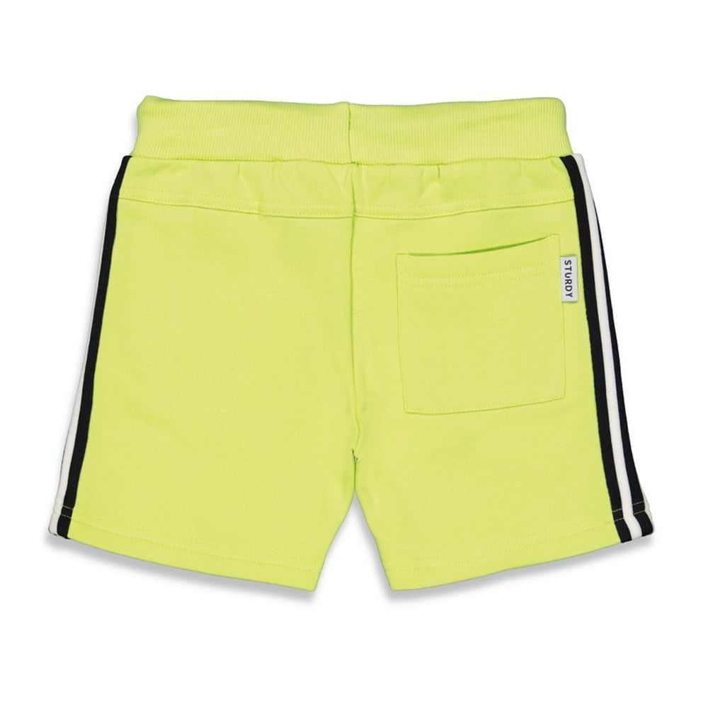 Short -  Bay Bandits